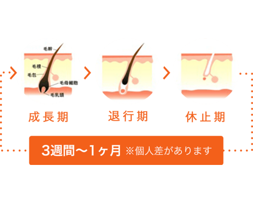 F77FB5ED-A011-4D03-B10D-70500C1CAA67