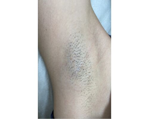 D8D46C5E-0F3A-402A-93C2-20F82D09D733