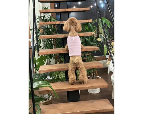 288817C3-38B9-460D-A902-D12EC6F60C59